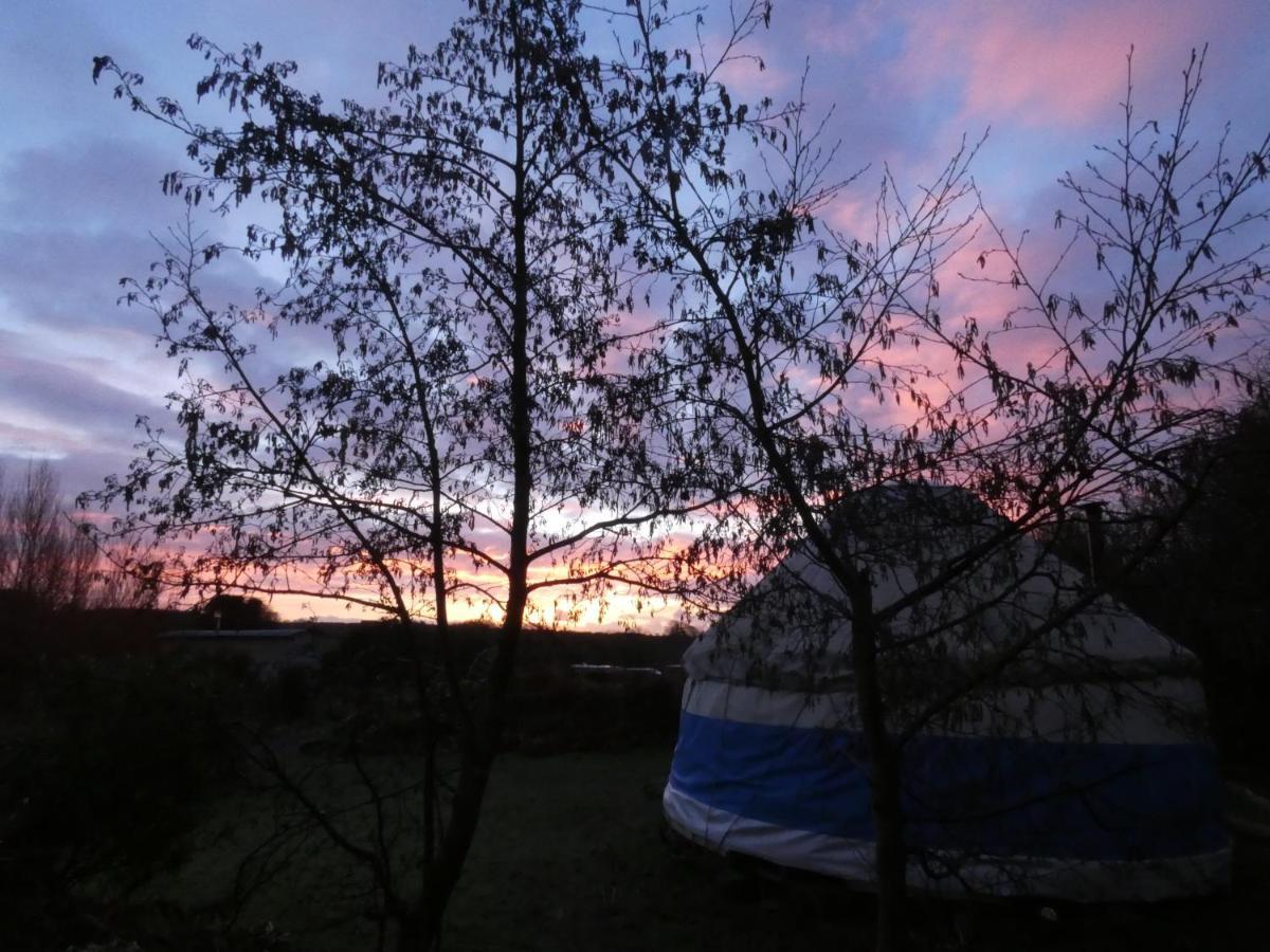 Inch Hideaway Eco Camping Whitegate  Exteriér fotografie