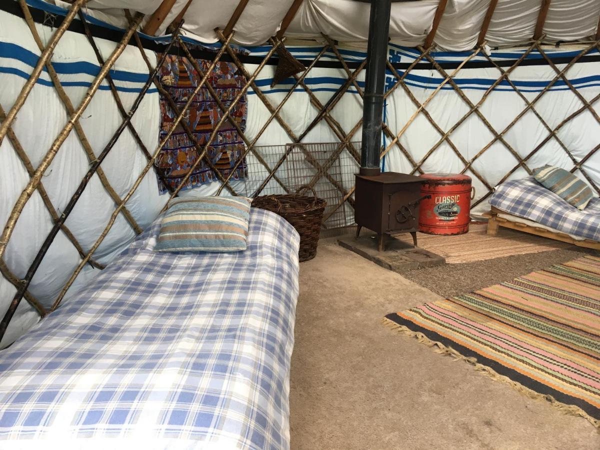 Inch Hideaway Eco Camping Whitegate  Exteriér fotografie