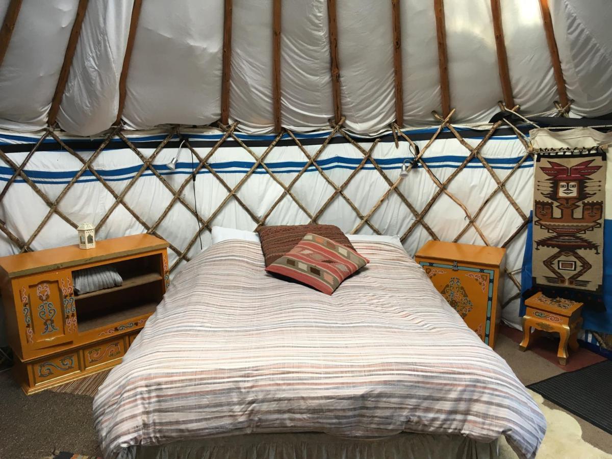 Inch Hideaway Eco Camping Whitegate  Exteriér fotografie