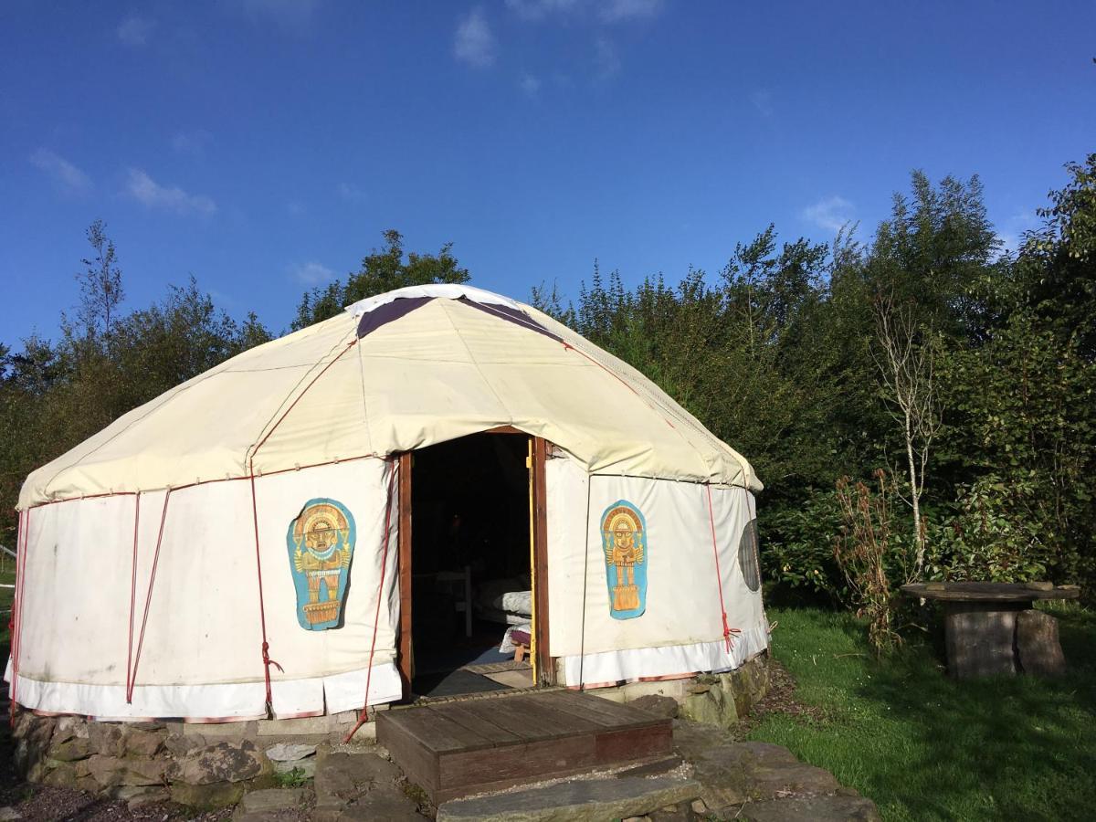 Inch Hideaway Eco Camping Whitegate  Exteriér fotografie