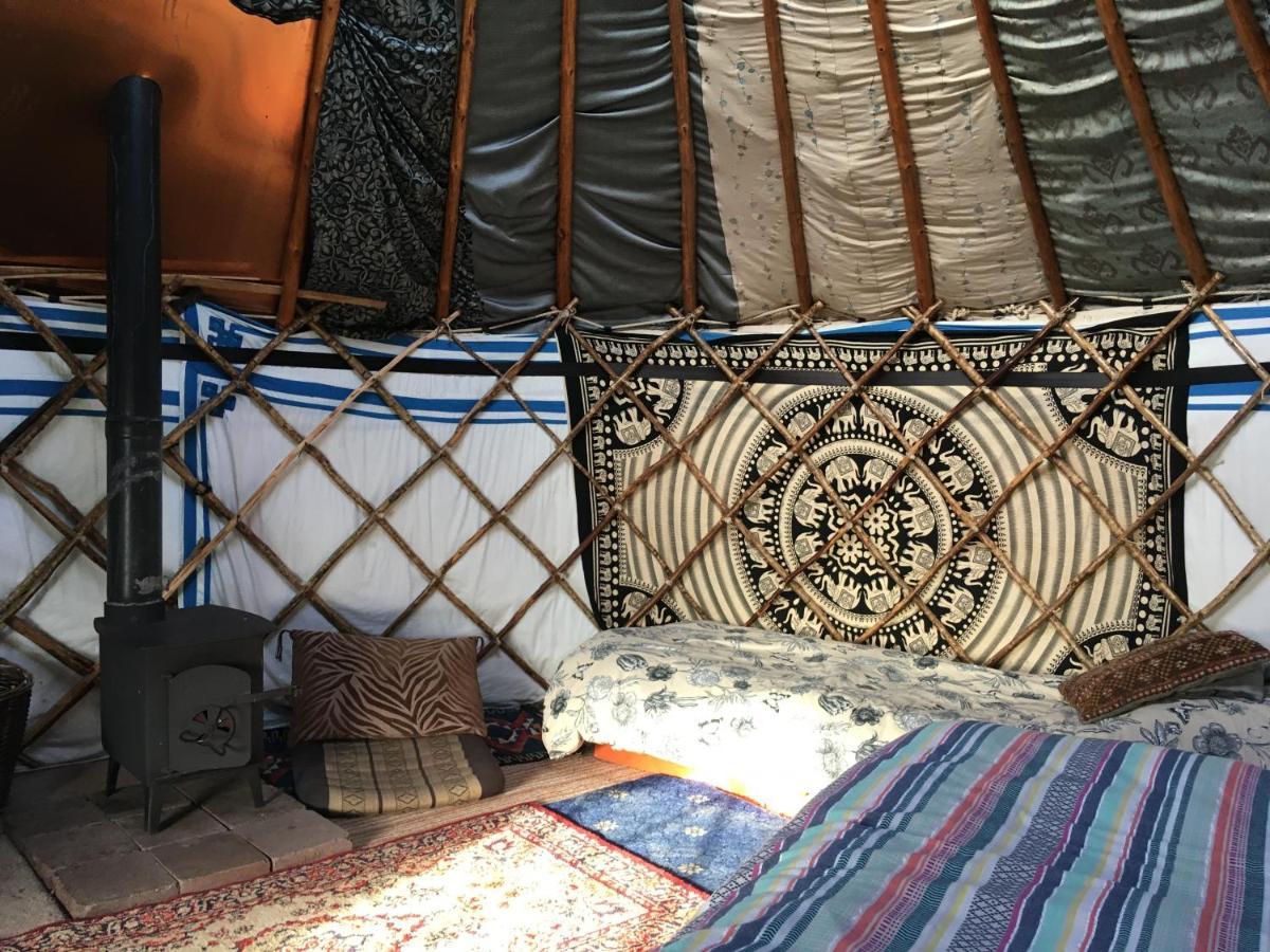 Inch Hideaway Eco Camping Whitegate  Exteriér fotografie