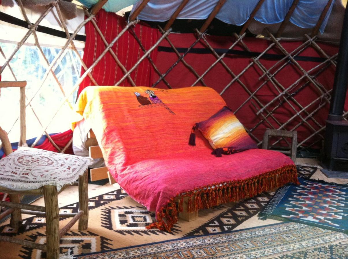 Inch Hideaway Eco Camping Whitegate  Exteriér fotografie