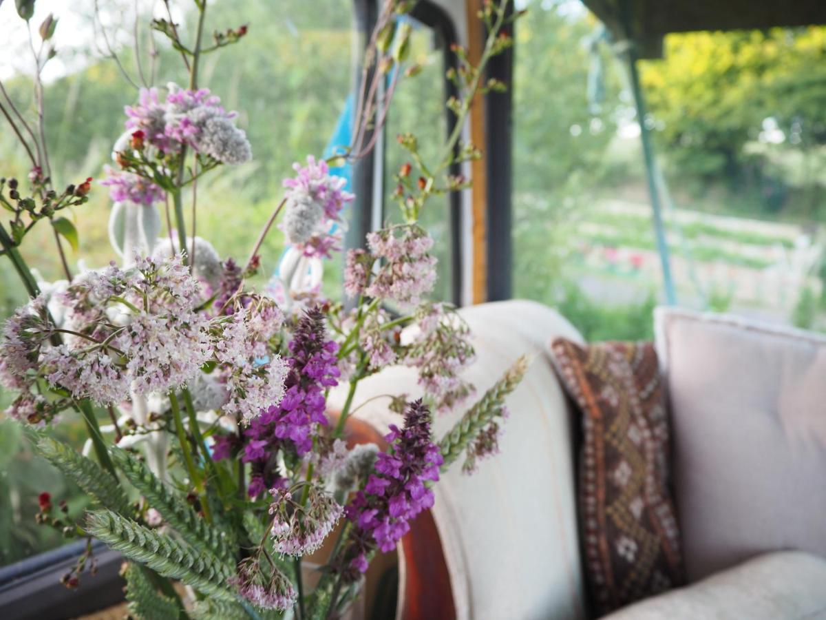 Inch Hideaway Eco Camping Whitegate  Exteriér fotografie
