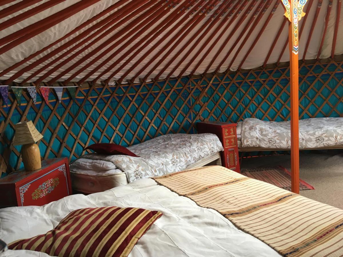 Inch Hideaway Eco Camping Whitegate  Exteriér fotografie